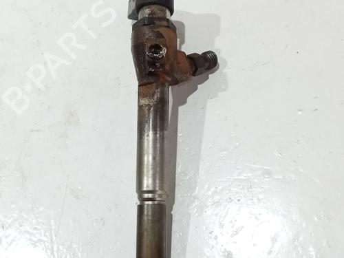 Injector RENAULT MEGANE II (BM0/1_, CM0/1_)  | BP26975407M100 