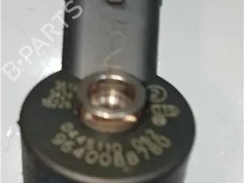 Injector PEUGEOT 406 (8B) 2.0 HDI 110 | BP23914039M100 