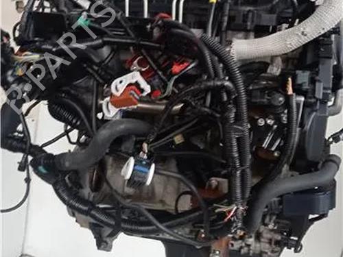 Engine FORD FIESTA VI (CB1, CCN) 1.6 TDCi | BP23915683M1 