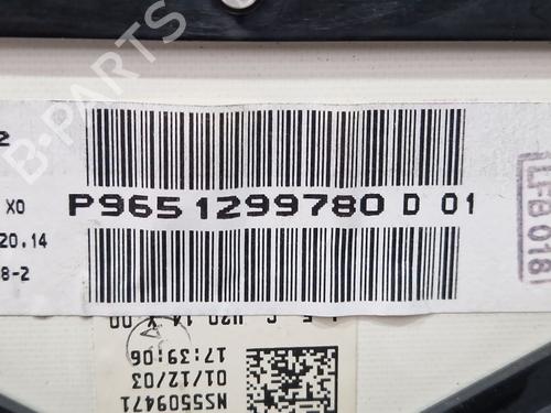 Instrument cluster PEUGEOT 307 (3A/C) 2.0 HDi 90 | BP29876615C47 