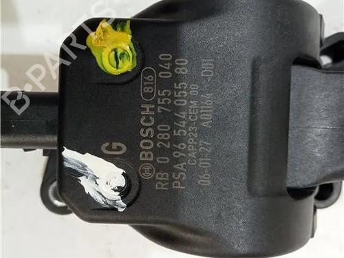 Pedal CITROËN C2 (JM_) 1.1 | BP23909049I4 