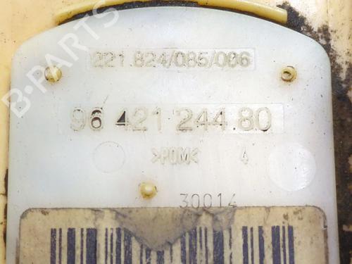 Fuel pump PEUGEOT 206 Hatchback (2A/C) 1.4 HDi eco 70 | BP28691322M76 