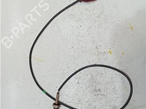 Elektronensonde für VW PASSAT B5.5 (3B3) 1.9 TDI (130 hp) 23909856