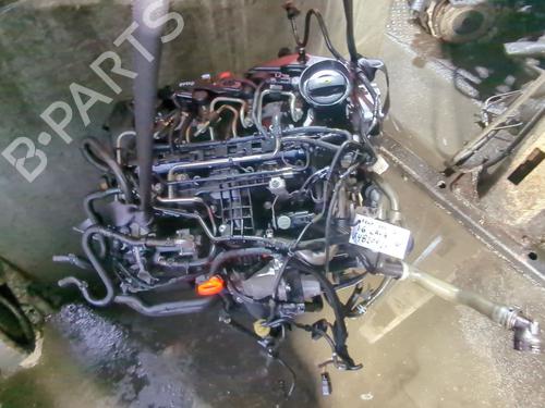 Engine SEAT LEON (1P1) 1.6 TDI | BP32343074M1 