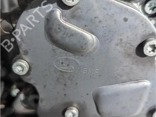 Engine SKODA FABIA I (6Y2) 1.9 TDI | BP23924236M1 