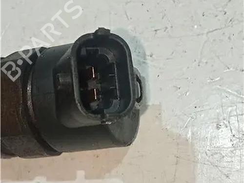 Injector PEUGEOT 406 (8B) 2.0 HDI 110 | BP23913036M100 