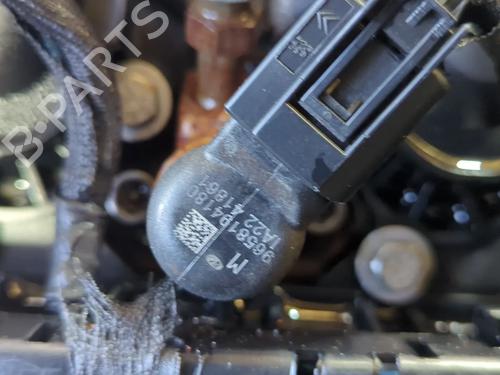 Engine CITROËN C4 Picasso I MPV (UD_) 2.0 HDi 138 | BP29423234M1 