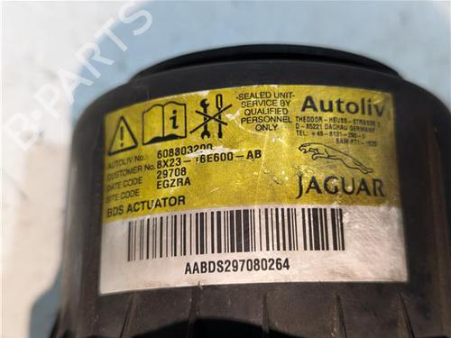 Electronic module JAGUAR XF I (X250) 2.7 D | BP23924899M83 