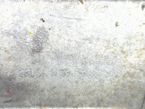  - Image 4