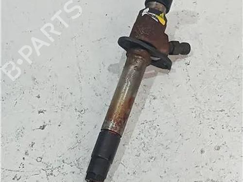 Used Injector LAND ROVER RANGE ROVER SPORT I (L320) 2.7 D 4x4 (190 hp) 23911193
