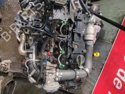 Engine FORD FIESTA VI (CB1, CCN) 1.5 TDCi | BP28042520M1 