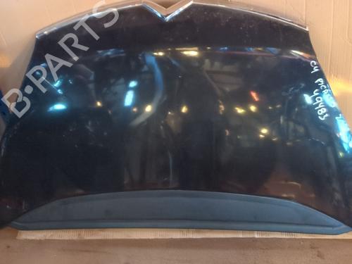 hood-citroen-c4-picasso-i-mpv-ud_-2006-2007-2008-2009-2010-2011-2012-2013-2014-2015-39201516 main image