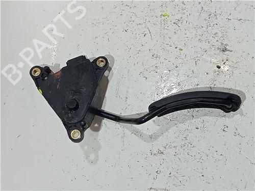 Pedal RENAULT GRAND SCÉNIC II (JM0/1_) 1.9 dCi (JM0G, JM12, JM1G, JM2C) | BP23922476I4 