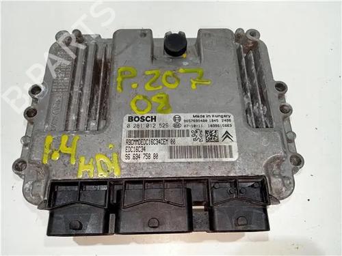 Elektronisk modul PEUGEOT 207 SW (WK_) 1.6 HDi (90 hp) 23929367