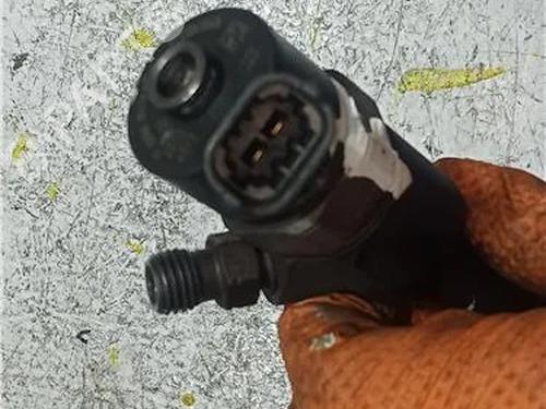 Injector RENAULT MEGANE II (BM0/1_, CM0/1_) 1.9 dCi (BM0G, CM0G) | BP23915883M100 