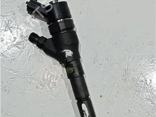 Injector PEUGEOT 406 (8B) 2.0 HDI 110 | BP23914039M100 