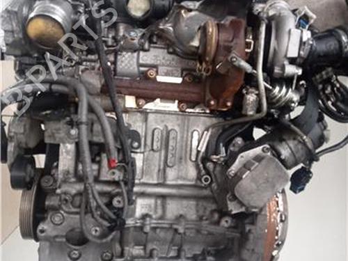 Engine FORD FIESTA VI (CB1, CCN)  | BP23902014M1 