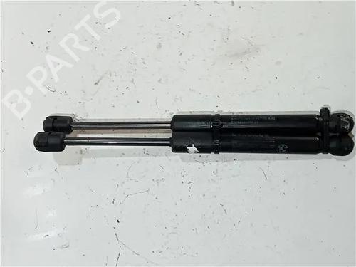 Hood lift support BMW 4 Coupe (F32, F82) M4 | BP23958104C139 