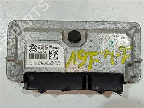 Elektronische module SEAT IBIZA III (6L1) 1.9 TDI (131 hp) 23907999