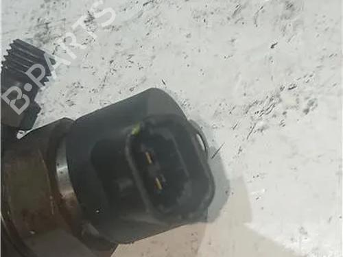 Injector RENAULT MEGANE II (BM0/1_, CM0/1_) 1.9 dCi (BM0G, CM0G) | BP23912888M100