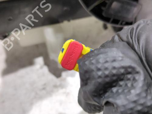 Switch RENAULT GRAND SCÉNIC III (JZ0/1_) 2.0 16V (JZ0G) | BP24885689I30 