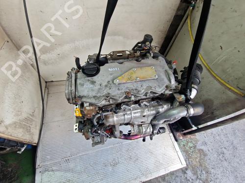 Engine NISSAN ALMERA II (N16) 2.2 dCi | BP40080133M1 - Image 5