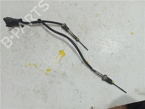 Elektronisk sensor CITROËN C4 Picasso I MPV (UD_) 1.6 HDi (109 hp) 23930498
