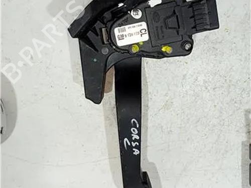 Pédale OPEL CORSA C (X01) 1.3 CDTI (F08, F68) (70 hp) 23906981