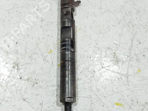 Injector RENAULT MEGANE II (BM0/1_, CM0/1_) | BP26612983M100