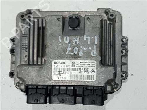Used Electronic module PEUGEOT 207 (WA_, WC_) 1.4 HDi (68 hp) 23919065