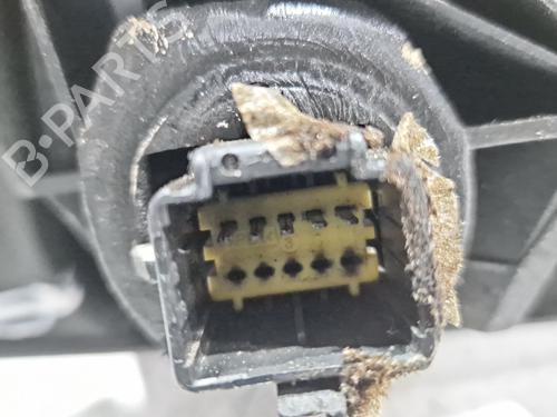 Left mirror RENAULT MEGANE II (BM0/1_, CM0/1_)  | BP30962348C26 