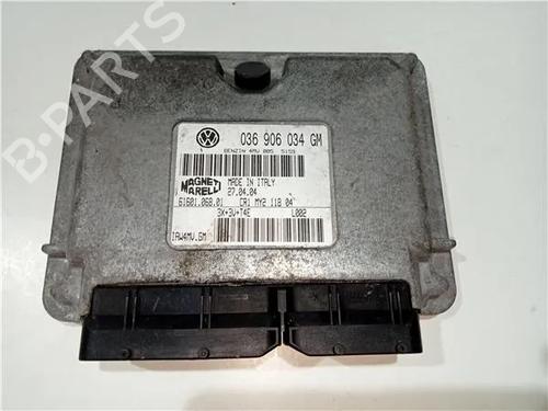 Elektronisk modul SEAT IBIZA III (6L1) 1.9 TDI (131 hp) 23919098