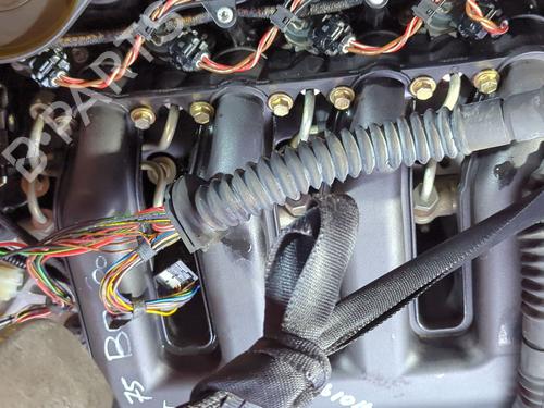 Engine ROVER 75 (RJ) 2.0 CDT | BP33955622M1  - Image 7