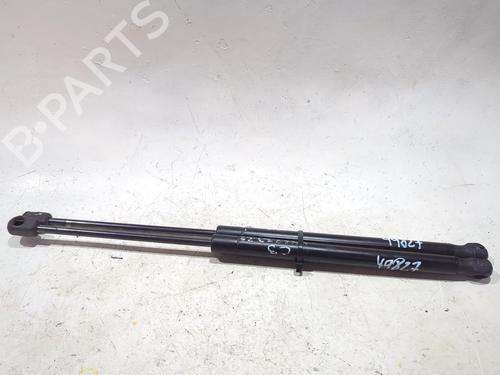 Used Tailgate lift support CITROËN C3 I (FC_, FN_) 1.4 i (73 hp) 27242421