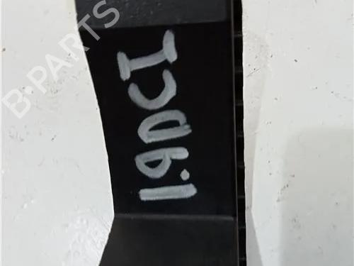 Pedal RENAULT LAGUNA II Grandtour (KG0/1_) 1.9 dCi (KG0G) | BP23909085I4 