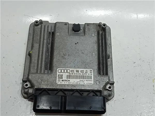 Electronic module AUDI A3 (8P1) 2.0 TDI 16V quattro 23913943 | B-Parts