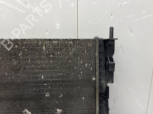 Water radiator RENAULT TWINGO II (CN0_) 1.5 dCi (CN0E) | BP38561321M31 - Image 9