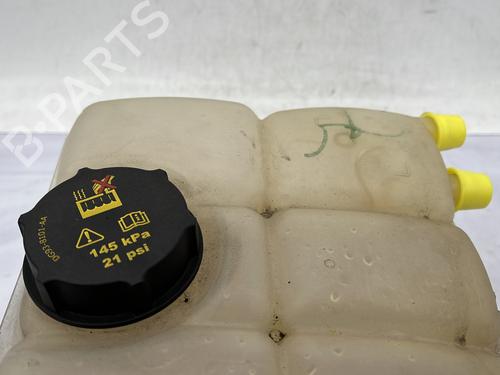 Expansion tank FORD C-MAX II (DXA/CB7, DXA/CEU) 1.0 EcoBoost | BP29865944C120