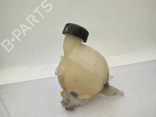 expansion-tank-citroen-c3-ii-sc_-2009-23708379 main image