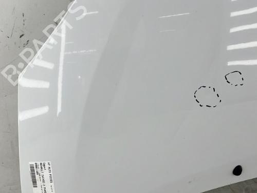 hood-renault-twingo-ii-cn0_-2007-23755842 main image