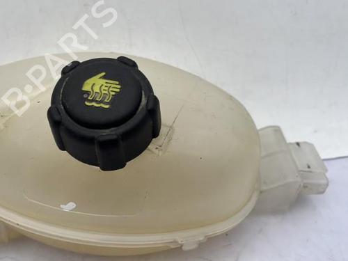 expansion-tank-renault-master-iii-van-fv-2010-23753203 main image