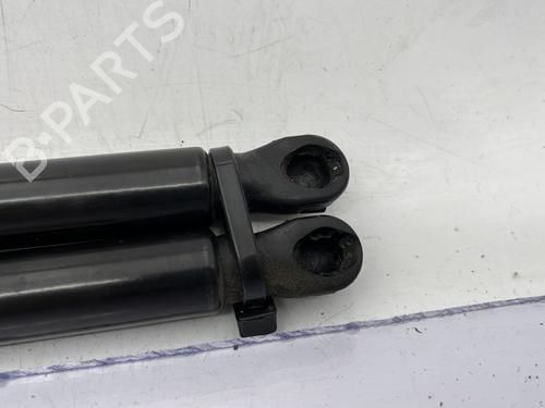 tailgate-lift-support-renault-clio-v-b7_-2019-23759041 main image