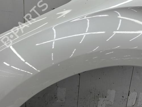 Left front fenders CITROËN DS4 (NX_) 2.0 HDi / BlueHDi 135 | BP29634692C41 