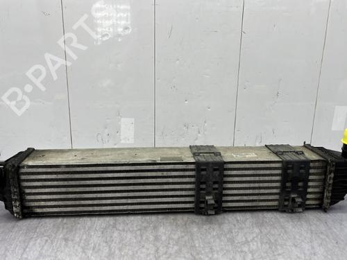 Used Intercooler RENAULT LAGUNA Coupe (DT0/1) 3.0 dCi (DT03) (235 hp) 23756042