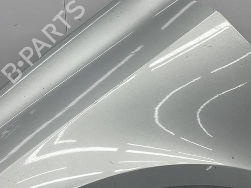 Left front fenders RENAULT LAGUNA II (BG0/1_) 1.6 16V (BG0A, BG0L) | BP23697123C41 