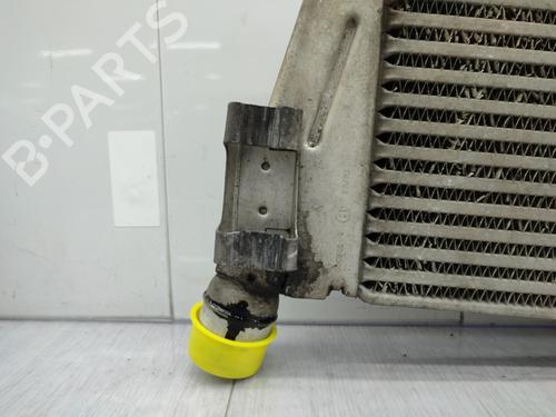 Intercooler RENAULT MEGANE II Estate (KM0/1_) 1.9 dCi (KMRG, KM1G, KM0G, KM2C) | BP23676344M30 