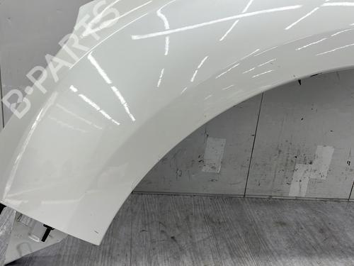 Left front fenders CITROËN DS4 (NX_) 2.0 HDi / BlueHDi 135 | BP29634692C41 