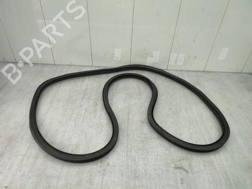 Used Rubber door seal VW TIGUAN (5N_) 2.0 TDI (140 hp) 24883452