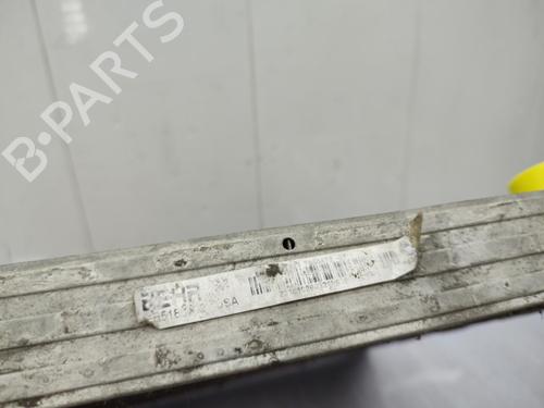 Water radiator BMW X5 (E70) xDrive 40 d | BP23719825M31  - Image 8