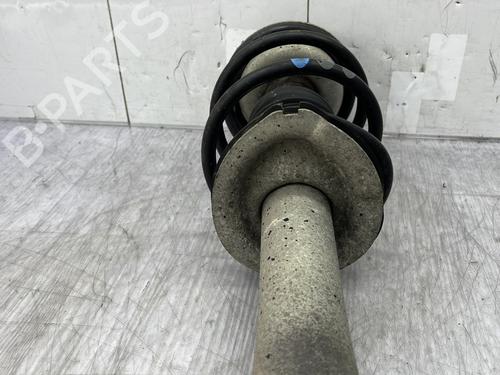 Right front shock absorber BMW 5 (E60) 520 d | BP25594550M17 